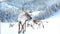 Heckettlane Doriane Dekbedovertrek - Eenpersoons - Katoensatijn - 140x200-220cm - Wit