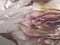 Heckettlane Elena Dekbedovertrek - Eenpersoons - Katoen - 140x200-220cm - Wit