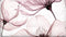 Heckettlane Esta Dekbedovertrek - Lits-jumeaux - Bamboe - 240x200-220cm - Roze