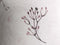 Heckettlane Esta Dekbedovertrek - Tweepersoons - Bamboe - 200x200-220cm - Roze
