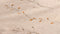Heckettlane Fino Dekbedovertrek - 100% Katoen-Dobby - 240x220 - Natural