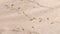 Heckettlane Fino Dekbedovertrek - 100% Katoen-Dobby - 260x220 - Natural