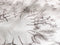 Heckettlane Fresia Dekbedovertrek - Lits-jumeaux - Katoen - 240x200-220cm - Wit