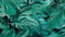 Heckettlane Goran Dekbedovertrek - Eenpersoons - Katoensatijn - 140x200-220cm - Groen