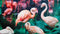 Heckettlane Goran Dekbedovertrek - Eenpersoons - Katoensatijn - 140x200-220cm - Groen