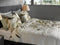 Heckettlane Granetta Dekbedovertrek - Lits-jumeaux - Katoensatijn - 260x200-220cm - Groen