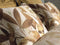 Heckettlane Horatia Dekbedovertrek - Tweepersoons - Katoensatijn - 200x200-220cm - Off-White