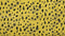 Heckettlane Kiko Dekbedovertrek - Lits-jumeaux - Katoensatijn - 240x200-220cm - Geel