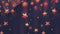 Heckettlane Lilou - Flanel - Dekbedovertrek - Lits-jumeaux - 260x200/220 cm - Night Purple