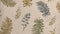 Heckettlane Listi Dekbedovertrek - Eenpersoons - Katoen - 140x200-220cm - Natural