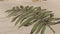 Heckettlane Listi Dekbedovertrek - Lits-jumeaux - Katoen - 240x200-220cm - Natural