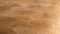 Heckettlane Luisa Dekbedovertrek - Eenpersoons - Bamboe - 140x200-220cm - Goud