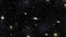 Heckettlane Lumina Dekbedovertrek - Lits-jumeaux - Katoensatijn - 260x200-220cm - Zwart