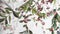 Heckettlane Moires Dekbedovertrek - Eenpersoons - Katoensatijn - 140x200-220cm - Wit
