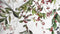 Heckettlane Moires Dekbedovertrek - Lits-jumeaux - Katoensatijn - 240x200-220cm - Wit
