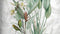 Heckettlane Musa Dekbedovertrek - Lits-jumeaux - Katoen - 240x200-220cm - Wit