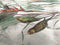 Heckettlane Musa Dekbedovertrek - Lits-jumeaux - Katoen - 260x200-220cm - Wit