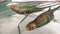 Heckettlane Musa Dekbedovertrek - Lits-jumeaux - Katoen - 260x200-220cm - Wit