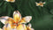 Heckettlane Rafaella Dekbedovertrek - Lits-jumeaux - Katoensatijn - 260x200-220cm - Groen