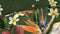 Heckettlane Rafaella Dekbedovertrek - Lits-jumeaux - Katoensatijn - 260x200-220cm - Groen