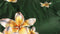Heckettlane Rafaella Dekbedovertrek - Tweepersoons - Katoensatijn - 200x200-220cm - Groen
