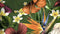 Heckettlane Rafaella Dekbedovertrek - Tweepersoons - Katoensatijn - 200x200-220cm - Groen