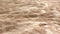 Heckettlane Raissa Dekbedovertrek - Eenpersoons - Katoen - 140x200-220cm - Multi