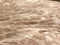 Heckettlane Raissa Dekbedovertrek - Lits-jumeaux - Katoen - 260x200-220cm - Multi