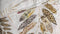 Heckettlane Rayna - Dekbedovertrek - Lits-jumeaux - 260x200/220 cm - Multi kleur