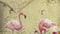Heckettlane Reno - Dekbedovertrek - Tweepersoons - 200x200/220 cm - Multi kleur