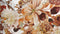 Heckettlane Selina Dekbedovertrek - Lits-jumeaux - Katoensatijn - 260x200-220cm - Wit