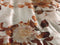 Heckettlane Selina Dekbedovertrek - Lits-jumeaux - Katoensatijn - 260x200-220cm - Wit