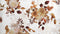 Heckettlane Selina Dekbedovertrek - Tweepersoons - Katoensatijn - 200x200-220cm - Wit