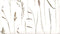 Heckettlane Soari Dekbedovertrek - Eenpersoons - Katoensatijn - 140x200-220cm - Natural