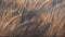 Heckettlane Soari Dekbedovertrek - Eenpersoons - Katoensatijn - 140x200-220cm - Natural