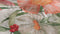 Heckettlane Svea Dekbedovertrek - Lits-jumeaux - Bamboe - 260x200-220cm - Multi