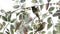 Heckettlane Xiel Dekbedovertrek - Lits-jumeaux - 240x200/220 cm - White