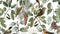 Heckettlane Xiel Dekbedovertrek - Lits-jumeaux - Katoen - 260x200-220cm - Wit