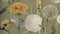 Heckettlane Zelena Dekbedovertrek - Tweepersoons - Katoen - 200x200-220cm - Groen