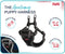 Company of Animals - Anatomy Halti - Puppy Harness - Grijs - Maat: XS - Nekomvang: 28-44 cm - Borstomvang: 28-44 cm
