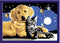Ravensburger CreArt Stargazing Sweetness - Schilderen op nummer voor kinderen