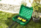 Heitronic 21046 Verdeelbox Groen
