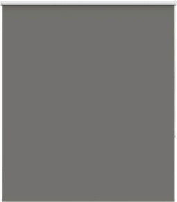 vidaXL - Rolgordijn - verduisterend - 125x130 - cm - stofbreedte - 121,6 - cm - grijs