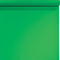 Falcon Eyes 46 - Achtergrondpapier - 1,35x11 m - Chroma Green