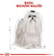 Royal Canin Maltese Adult - Hondenvoer - 500 g