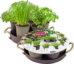 Herb Festival - 7 Potjes Kruiden - Taupe - Kruidenzaden - Baltus Zaden