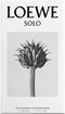 Herenparfum Solo Loewe EDT