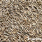 Herstelgazon Graszaad Snelkiemend (5kg, 250m2) Organifer - Gazonzaad - Graszaad Herstel en Doorzaai - Herstel Graszaad - Gazon Herstel - Graszaden voor Alle Gazontypes - Zelfherstellend - Hoge Betredingstolerantie - NAK Gecertificeerd