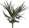 Hertshoorn 33 cm kunstplant