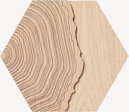 Hexagon wandtegel | Eiken | Boomstam Reliëf | Zelfklevend | ↑24CM - 21CM